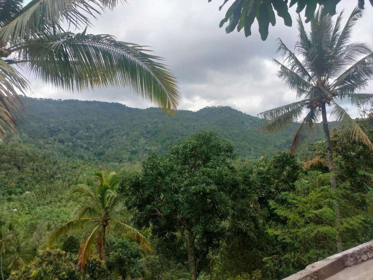 Villa Ling&Louie's Mountain à Mayong Extérieur photo