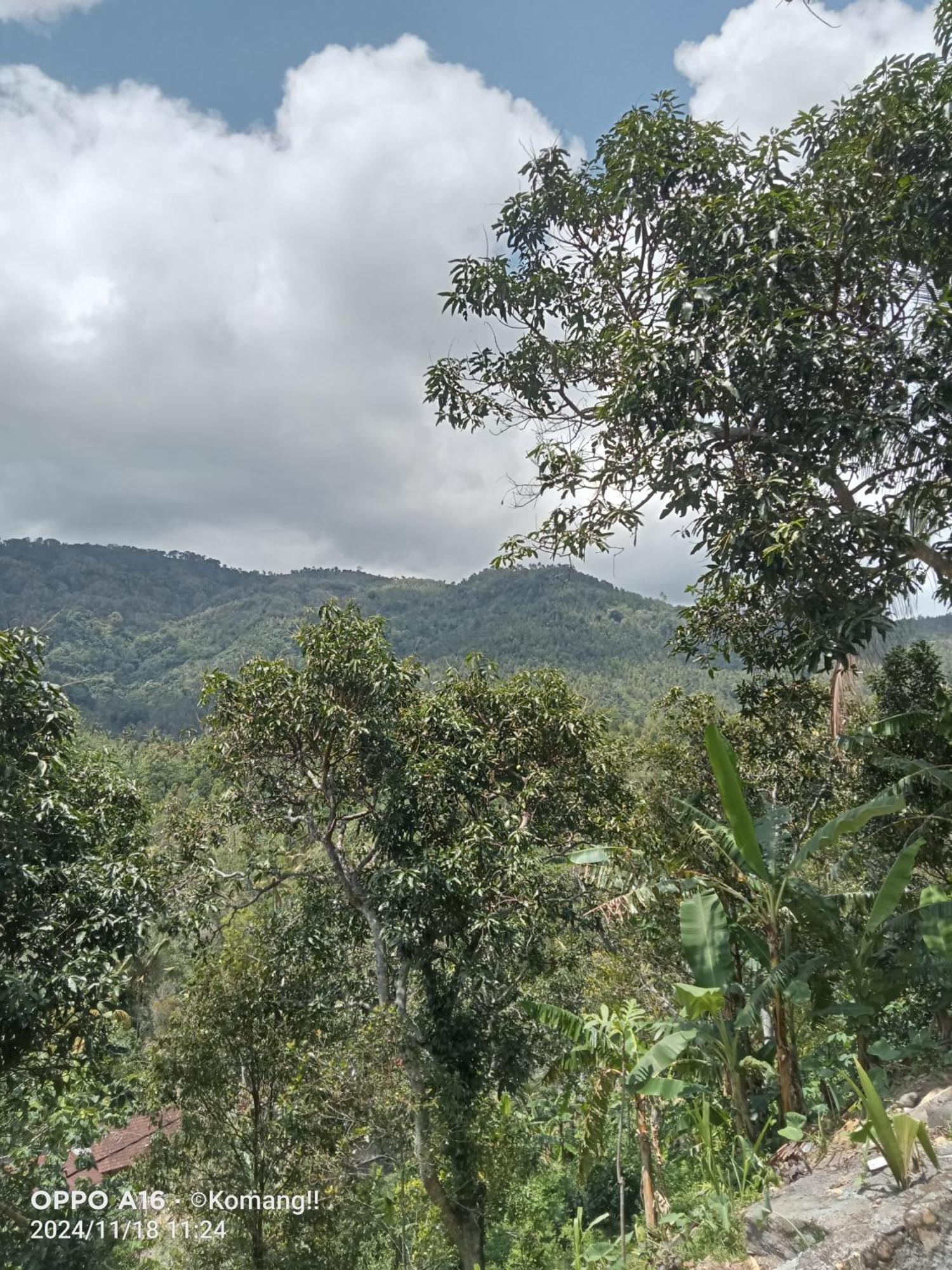 Villa Ling&Louie's Mountain à Mayong Extérieur photo